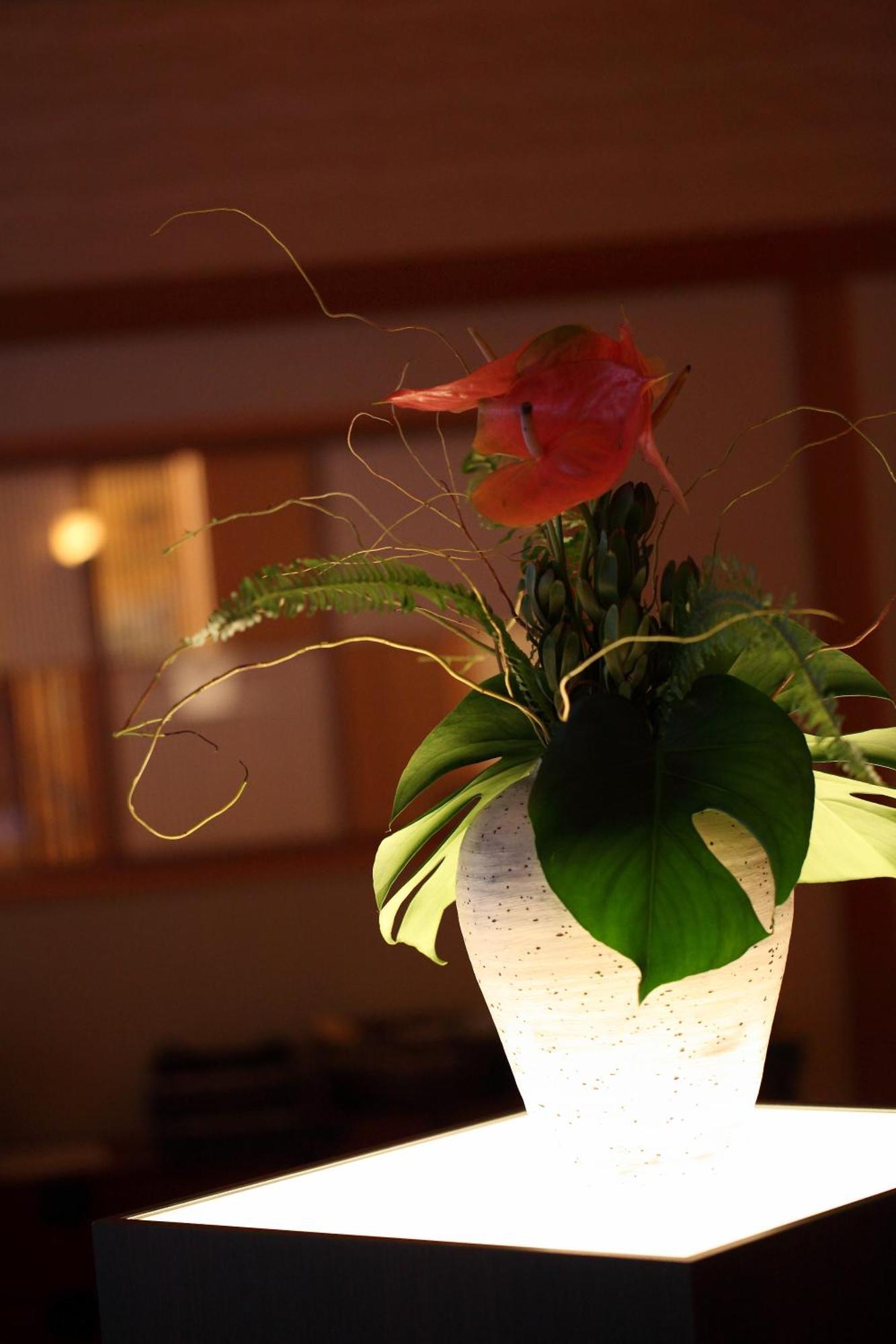 Kyo Yunohana Resort Suisen Kameoka Eksteriør billede